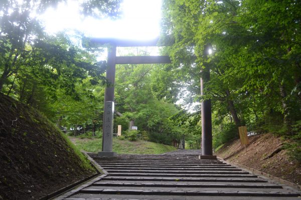 原始林に隣接！北海道神宮＆円山公園満喫コース