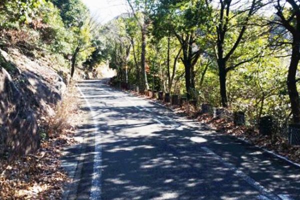 険しい上り下りで鍛錬。金華山ドライブウェイコース