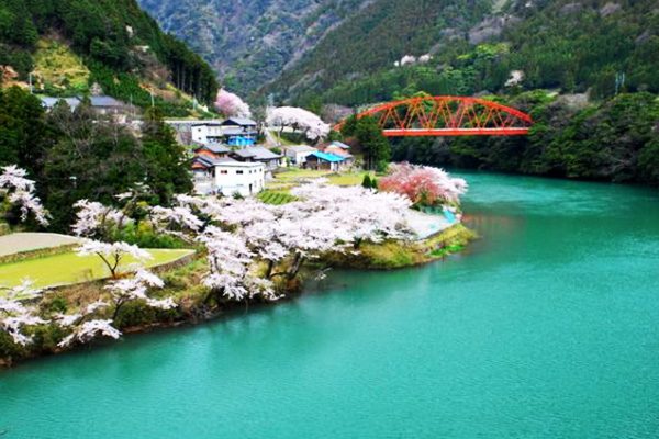 高低差の激しい長距離走。いびがわロングコース