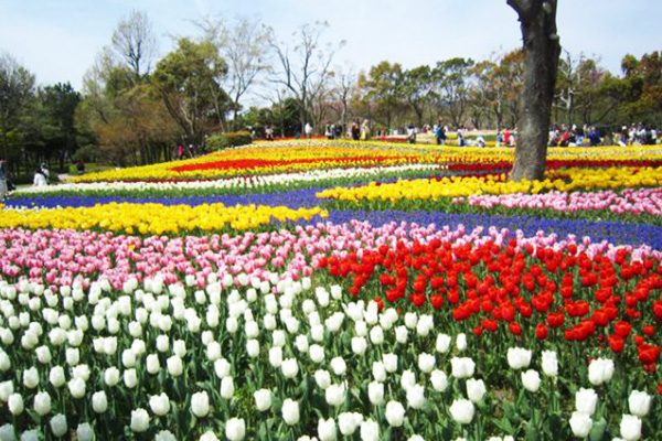 木曽三川公園から走る！長良川河川敷コース