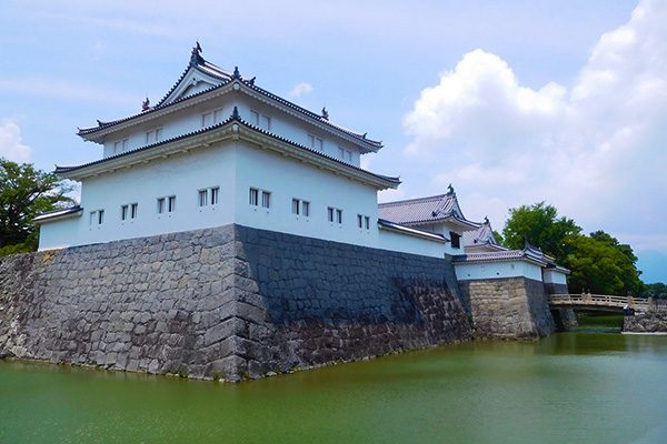 歴史を知る！駿府城、浅間神社をめぐる市内観光コース