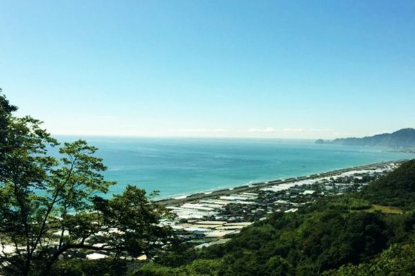 頂上からの絶景を堪能！日本平激坂コース