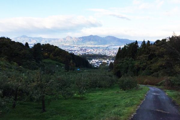起伏と絶景！アップルロードコース