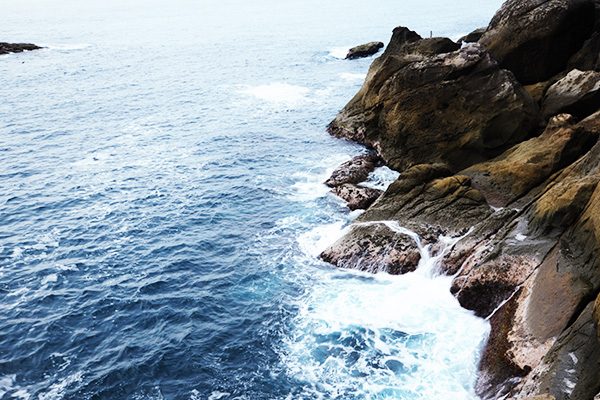 海と森の風を感じる鬼ケ城・熊野灘リアスコース