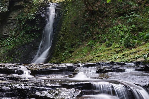 伊賀忍者修行の地を目指す、赤目四十八滝コース