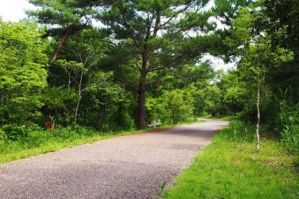 自然いっぱいの憩いの場・上野森林公園コース
