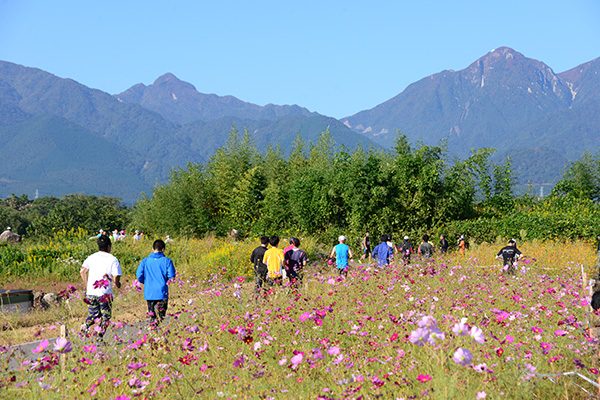 鈴鹿山麓かもしかハーフマラソンコース