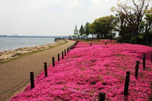 膳所城跡公園～なぎさ公園湖畔コース