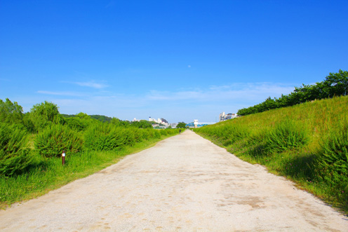 びわこ文化公園～大戸川河川敷周回コース