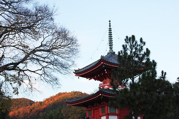 嵐山、嵯峨野から御室。名勝めぐりコース