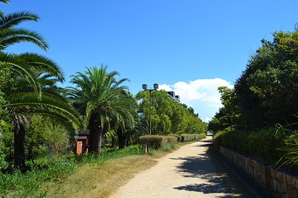 ロング走にぴったり。六甲アイランドの緑道コース