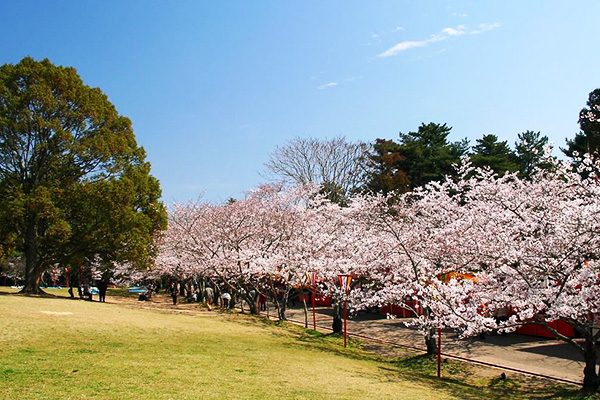 古墳群を走る！日岡山公園の周回コース