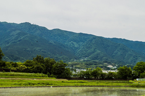 「金剛葛城山下駅伝」の全6区を走るコース