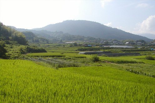 たかすみ温泉から古民家カフェを走る山道一周コース