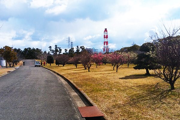 インターバルにおすすめ！河西公園トリムコース