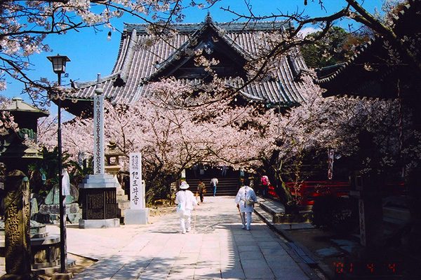 鉄道の軌道跡を走る！紀三井寺緑道コース