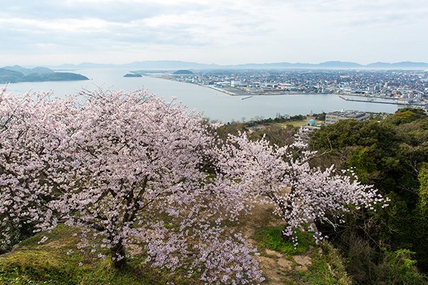 海・山の絶景！湊山公園と米子城址トリムコース