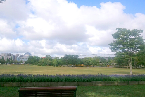 広い芝生が気持ちよい七北田公園芝生コース