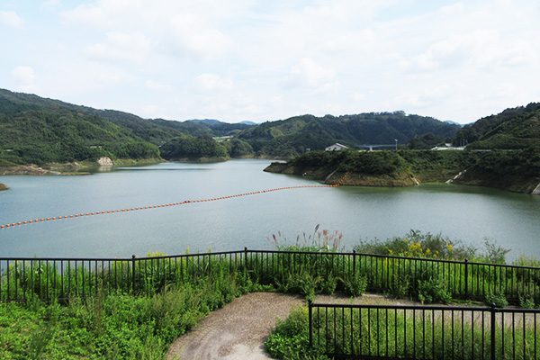 起伏のあるダム湖畔・さくらおろち湖一周コース