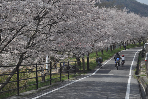吉井川沿いを走る！片鉄ロマン街道コース