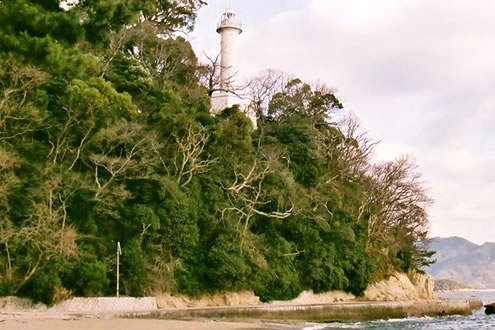 原生林の島を駆ける。自然あふれる宇品島コース