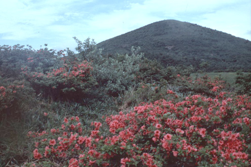 往路は上り復路は下り。道後山高原コース