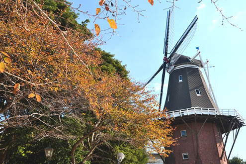 永源山を上る！オランダ風車コース