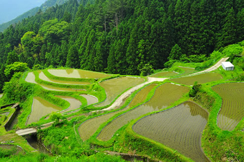 八万温泉～佐那河内村