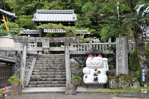 目標達成を祈念。お松大権現お参りコース