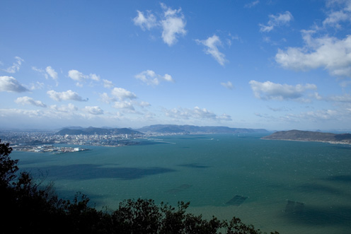 石清尾山で森林浴。峰山公園コース