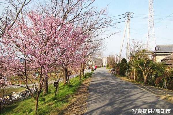 平坦で走りやすい鏡川河川敷コース