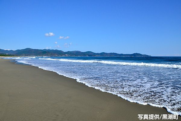 水平線と走る黒潮サーフビーチコース