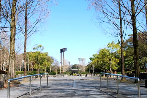 緑豊かな運動公園、春日公園周回コース