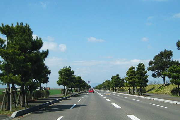 一面に広がる田園風景を走る！佐賀空港線コース