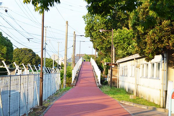 ランナーに人気！佐賀県総合運動場ランニングコース